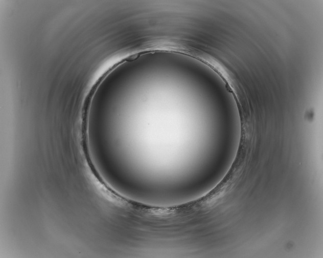 X0000091861147200709051202