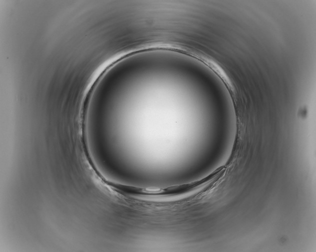 X0000091861148200709051202
