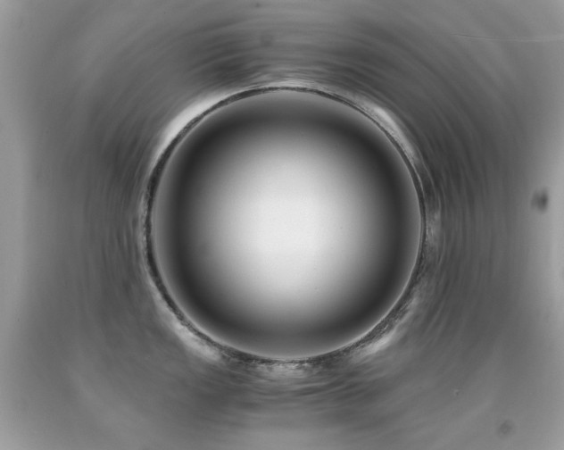 X0000091861149200709051202