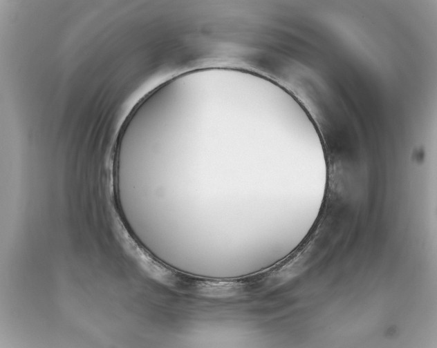 X0000091861150200709051203