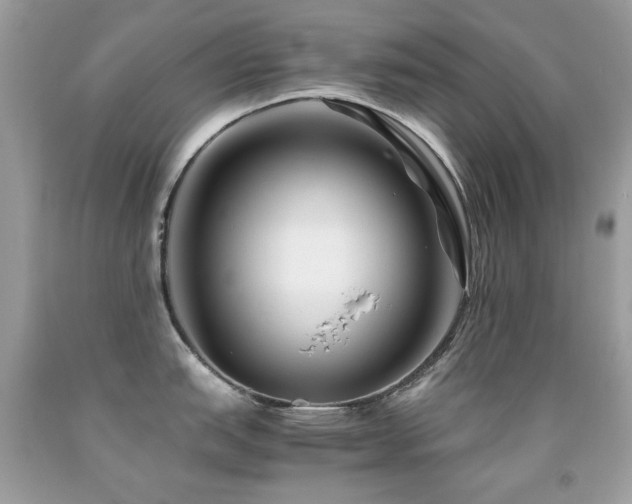 X0000091861151200709051203