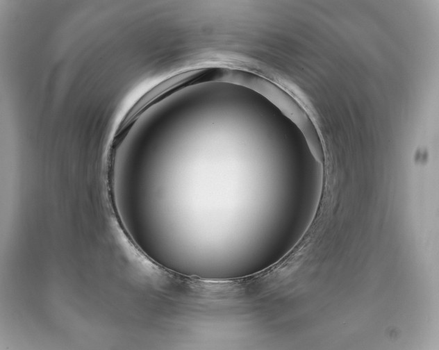 X0000091861152200709051203