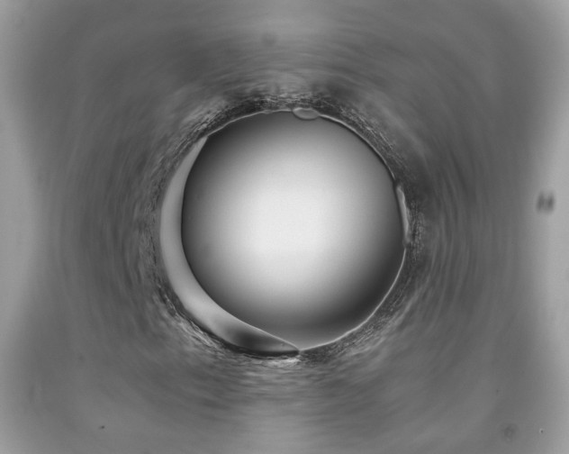 X0000091861153200709051202