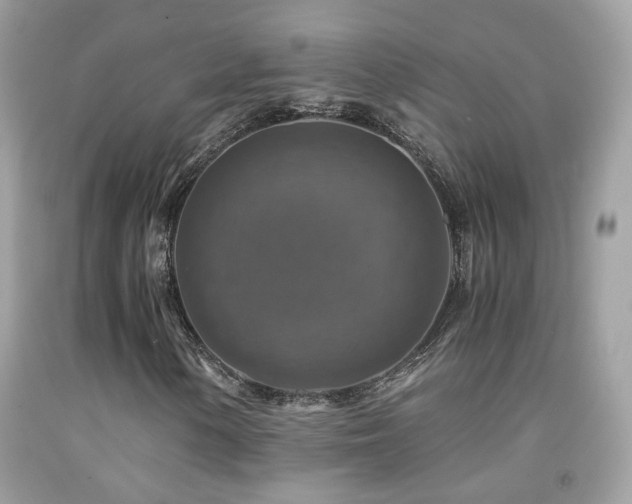 X0000091861154200709051202