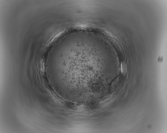 X0000091861155200709051202