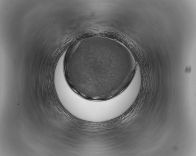 X0000091861156200709051202