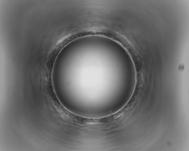 X0000091861158200709051202