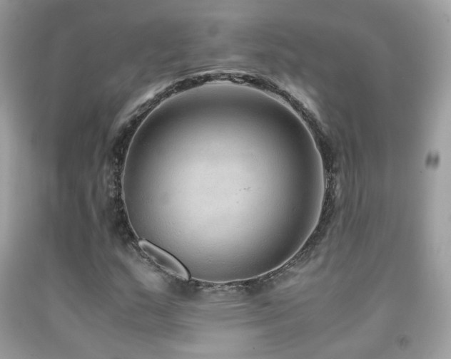 X0000091861159200709051202