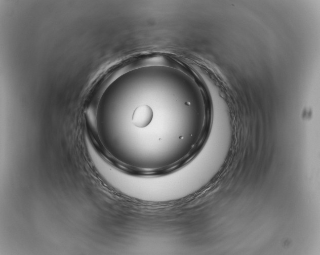 X0000091861160200709051201