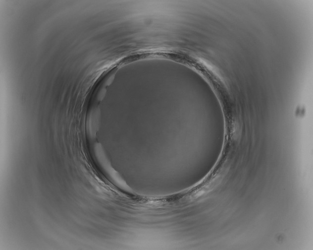 X0000091861161200709051201