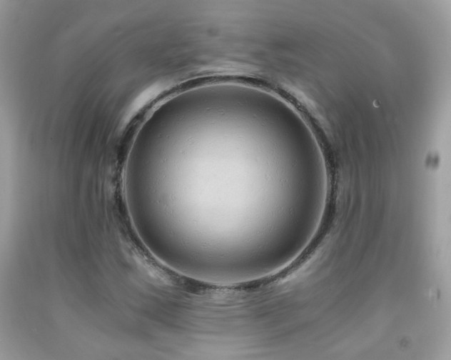 X0000091861163200709051201