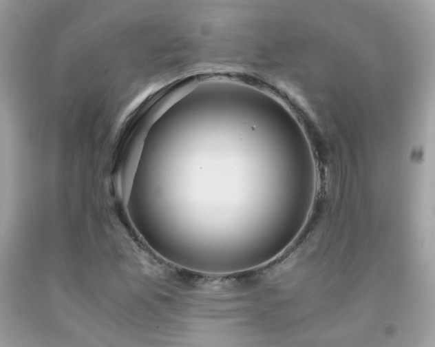X0000091861165200709051201