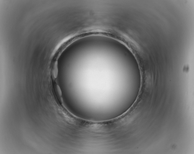 X0000091861166200709051201