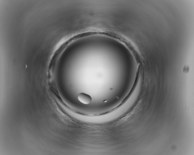 X0000091861168200709051201