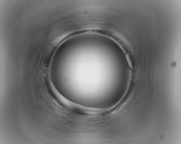X0000091861169200709051201