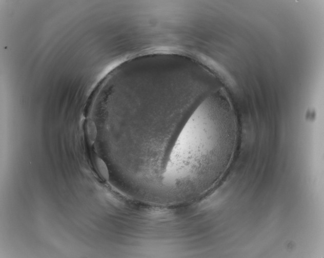 X0000091861170200709051201