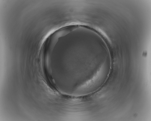 X0000091861173200709051201