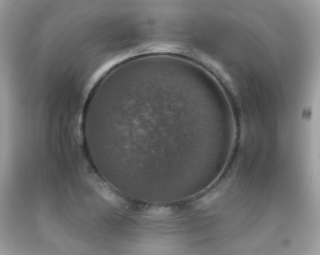 X0000091861174200709051201