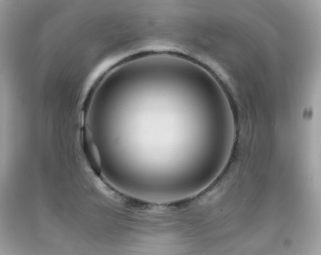 X0000091861175200709051201