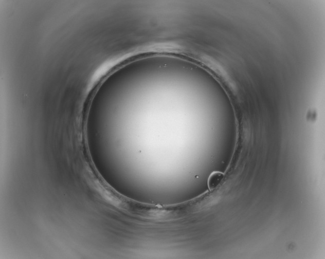X0000091861176200709051201