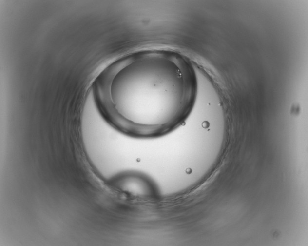 X0000091861177200709051201