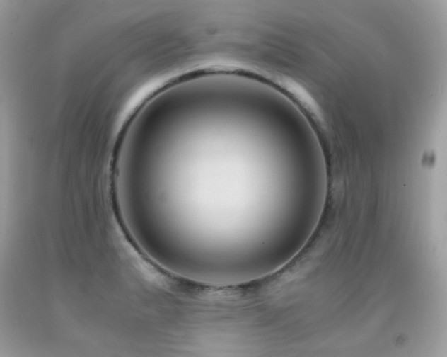 X0000091861183200709051201
