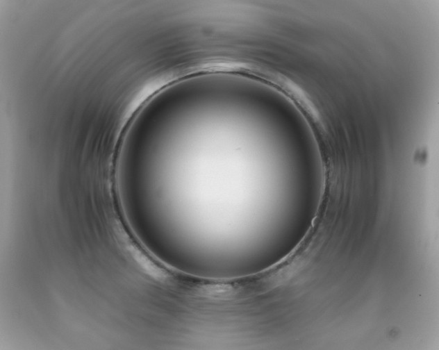 X0000091861186200709051201