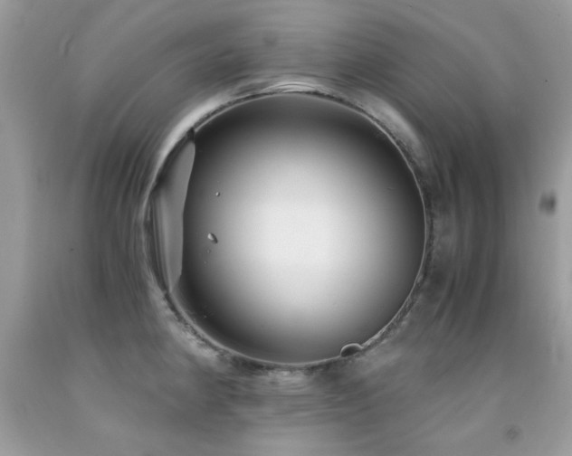 X0000091861190200709051201