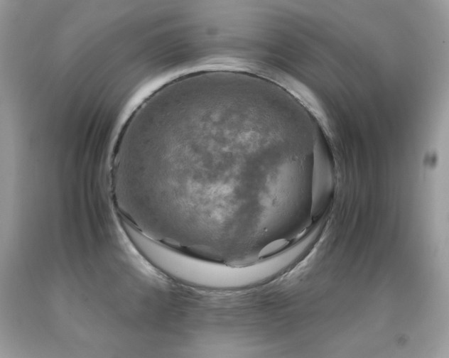 X0000091861192200709051201