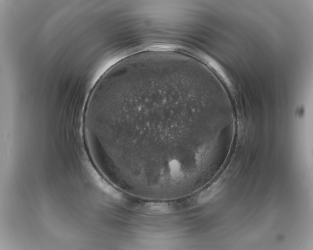 X0000091861194200709051201