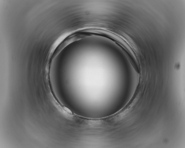 X0000091861196200709051201