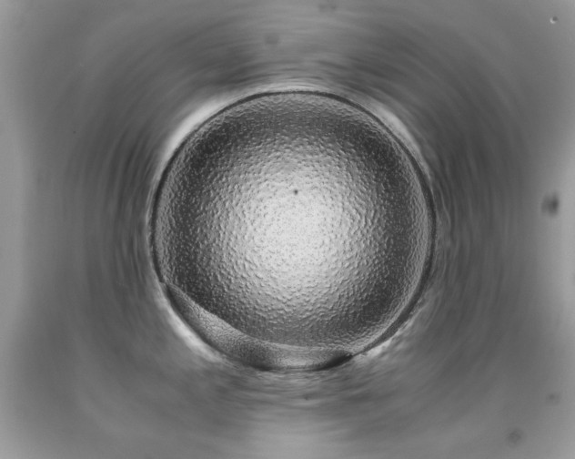 X0000091861197200709051201