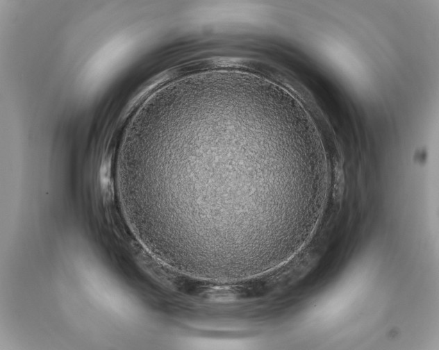 X0000091861198200709051201