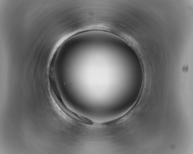 X0000091861200200709051201