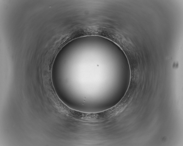 X0000091861201200709051200