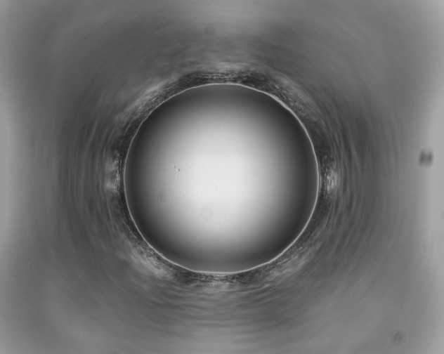 X0000091861204200709051200