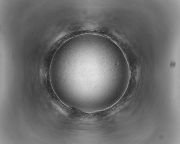 X0000091861206200709051200
