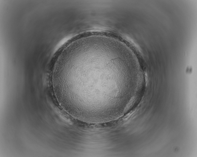 X0000091861208200709051200