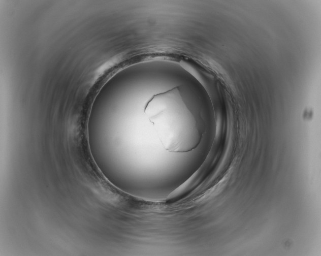 X0000091861210200709051200
