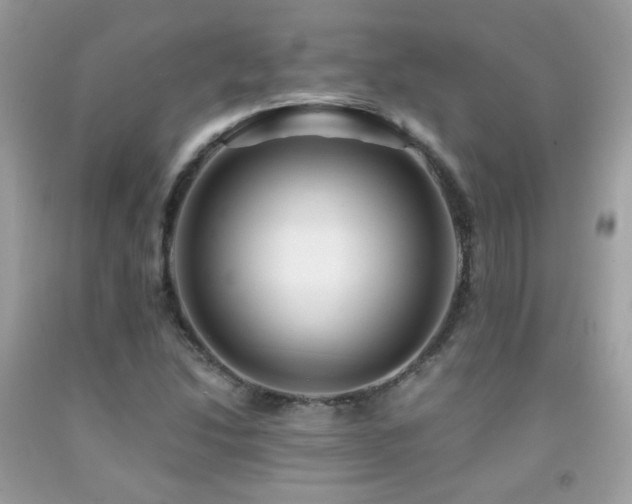 X0000091861214200709051200