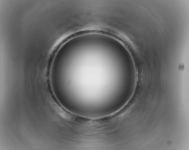 X0000091861216200709051200