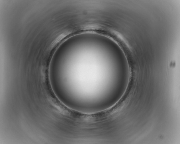 X0000091861217200709051200