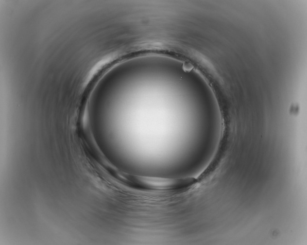 X0000091861218200709051200
