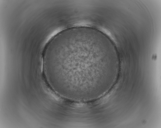 X0000091861219200709051200