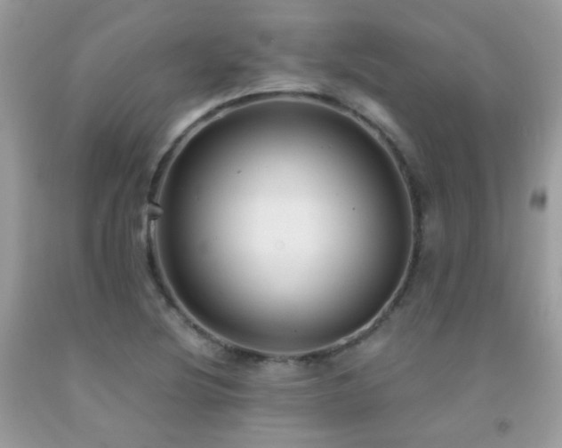 X0000091861220200709051200