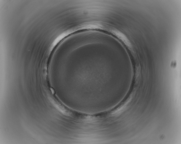 X0000091861226200709051201