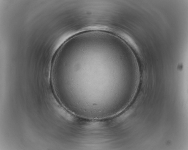 X0000091861228200709051201
