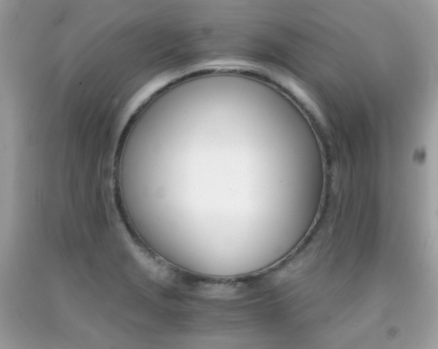 X0000091861229200709051201