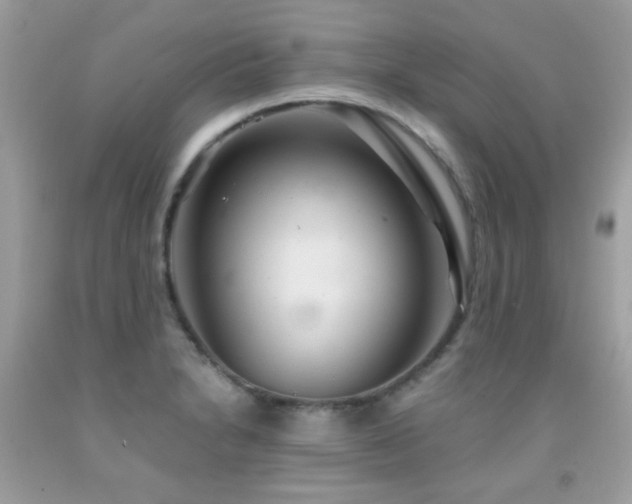 X0000091861230200709051201