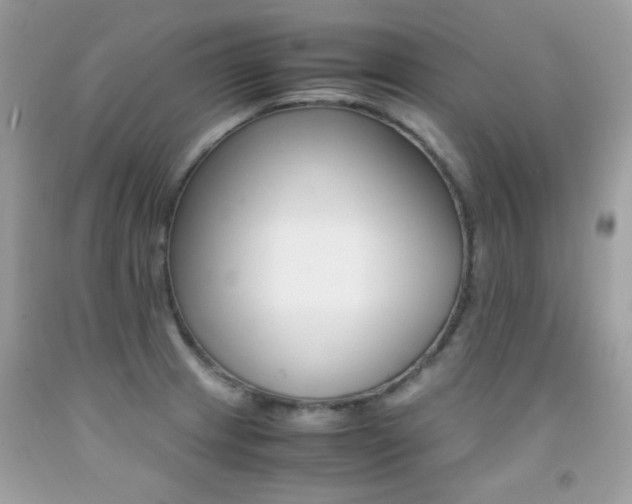 X0000091861233200709051201